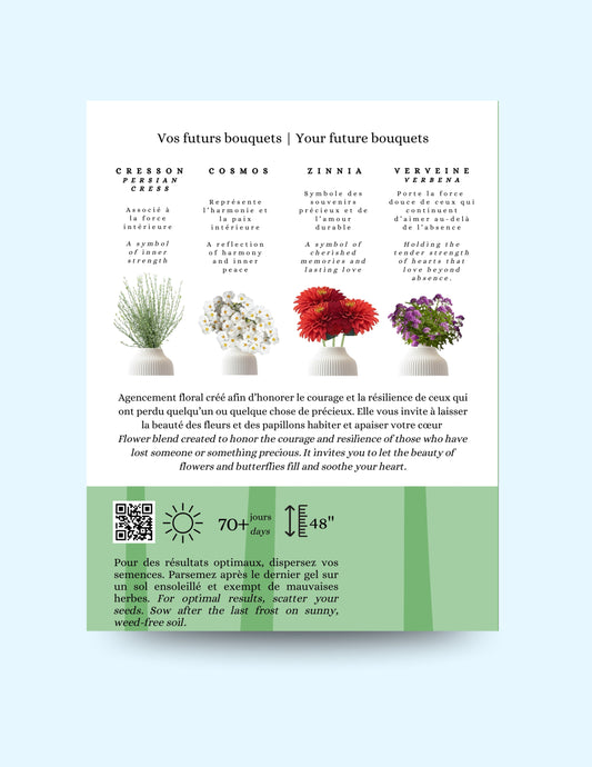 Seeds - Butterfly Collection