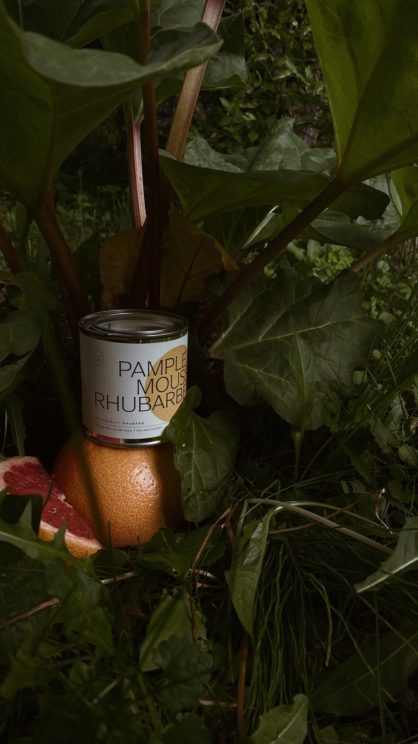 Bougie - Pamplemousse et Rhubarbe
