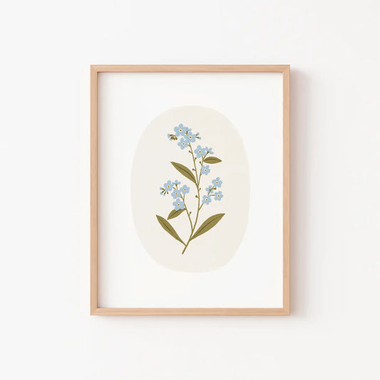 Affiche - Myosotis des forêts