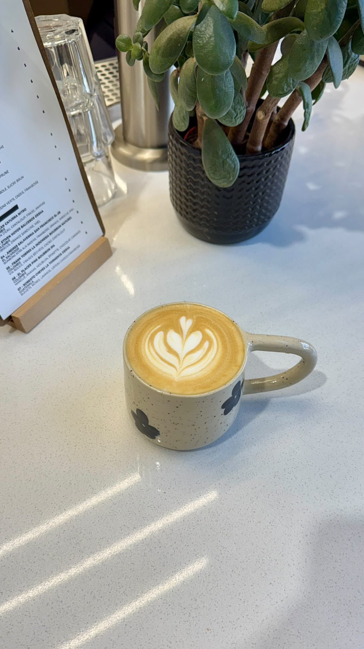 Tasse anse - Lignée/Fleurs