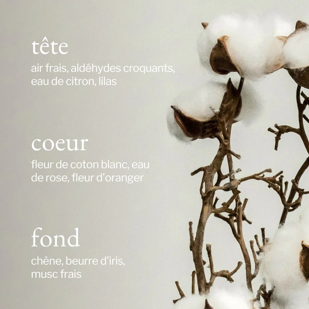Eau de linge - Coton frais + Linge Frais