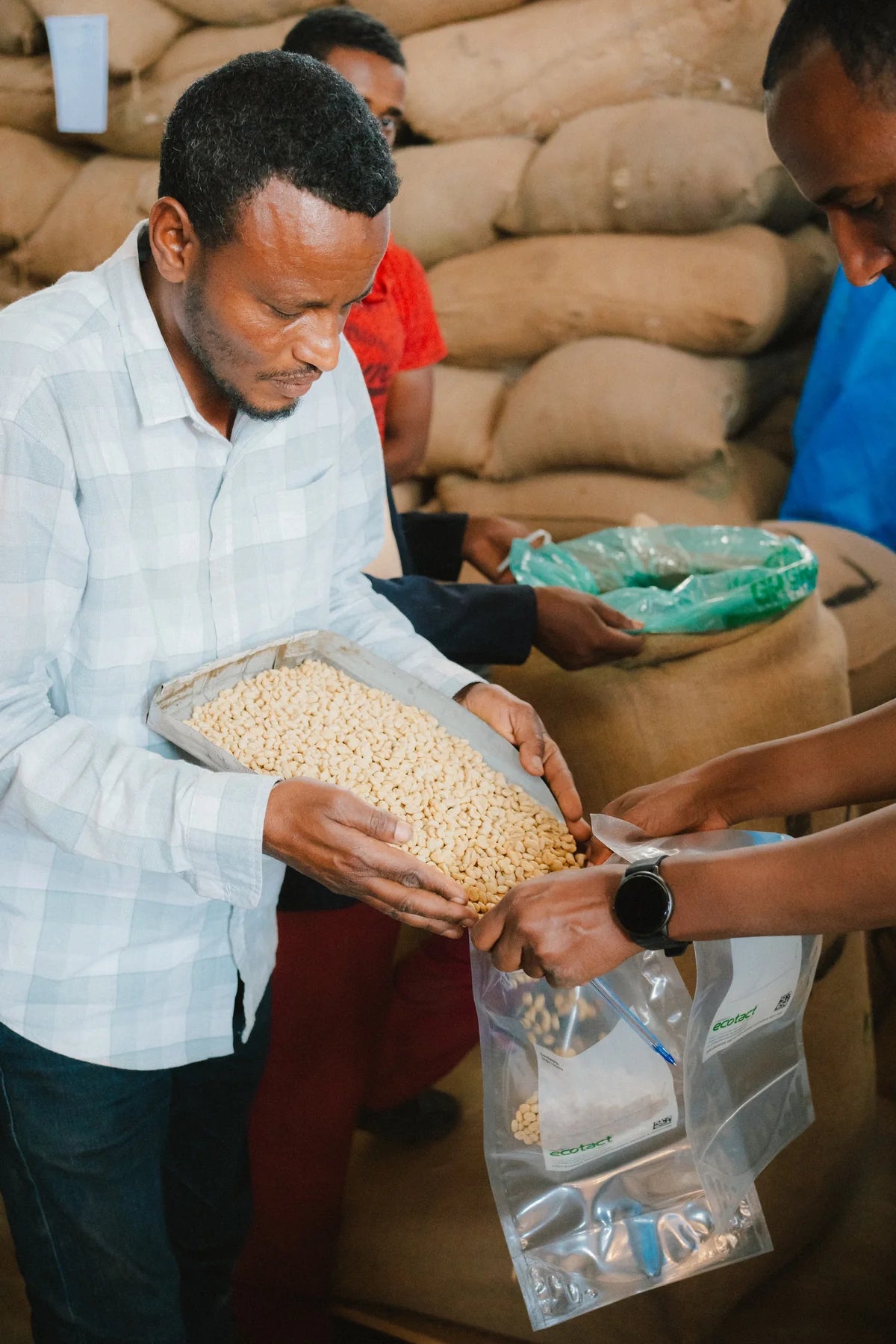 Café Pista - Adbo Aba Mecha