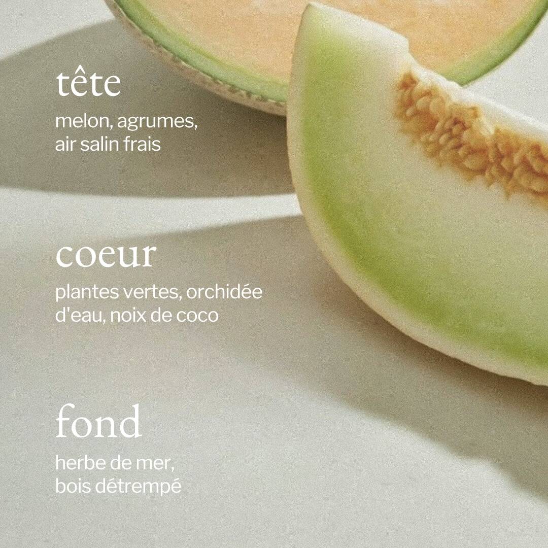 Savon à vaisselle liquide - Melon + Air salin