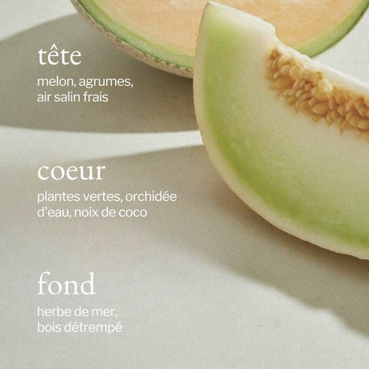 Savon à mains liquide - Coton blanc + Linge frais