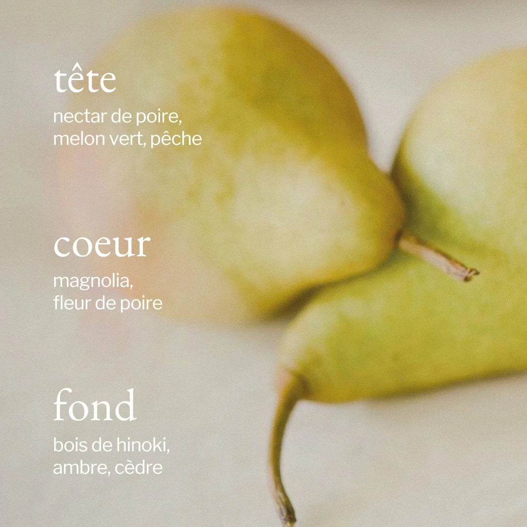 Bougie - Poire + Hinoki