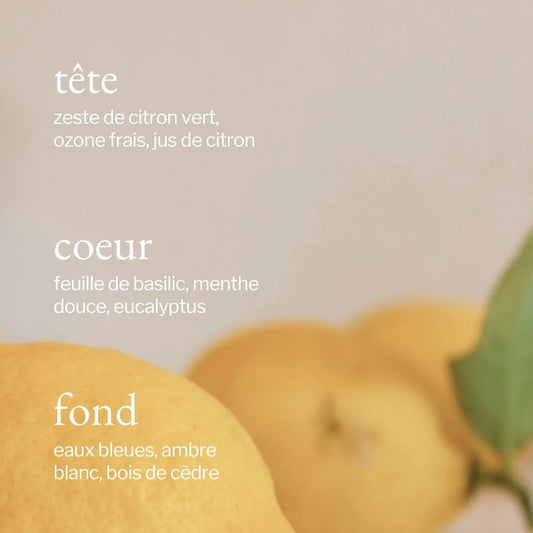 Savon à vaisselle liquide - Citron, Sauge & Romarin