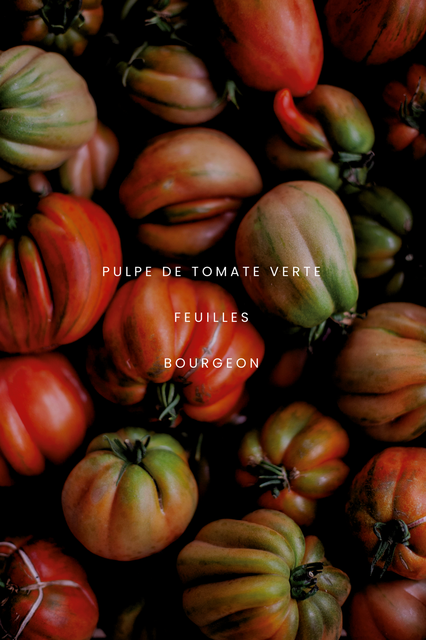 Bougie - Feuille de tomates