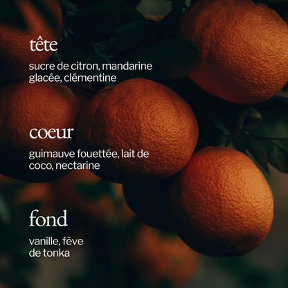 Bougie - Guimauve + Clémentine