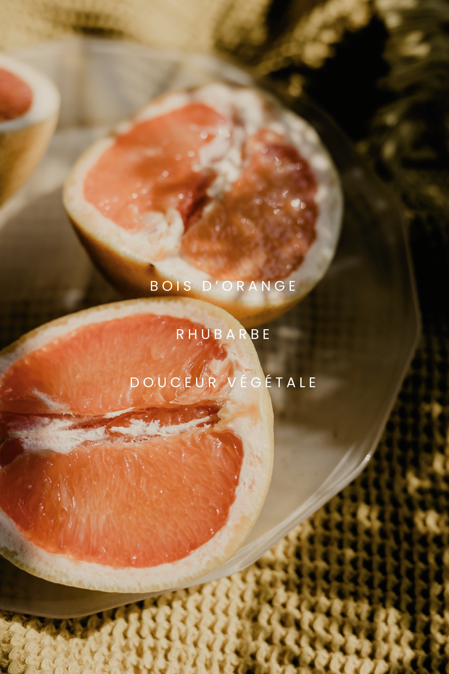 Bougie - Pamplemousse et Rhubarbe