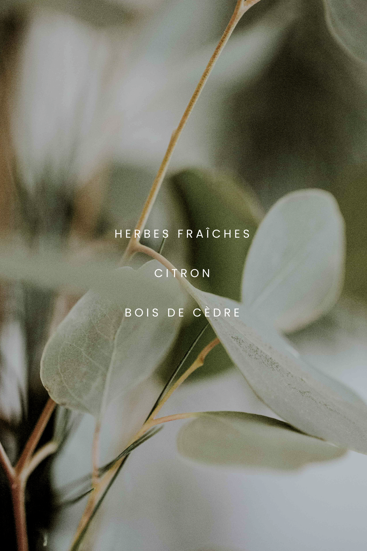 Bougie - Romarin et Eucalyptus